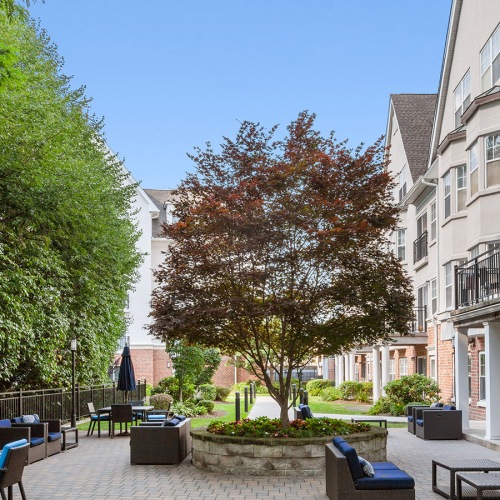 Outdoor BBQ area with a covered round table and plenty of space to play outdoor games.